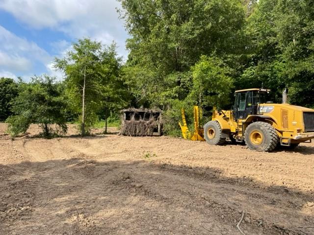 Loader spade transplanting trees for a hunting blind