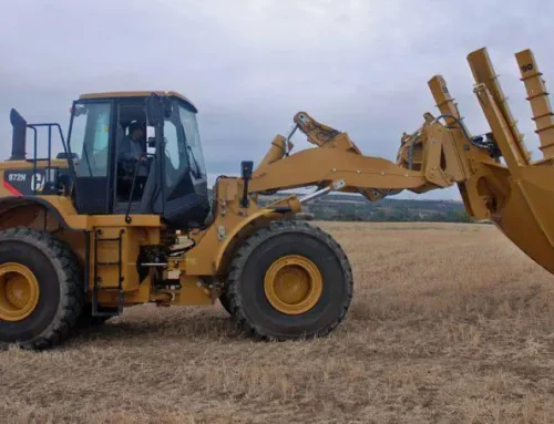 Key Considerations When Buying Tree Transplanting Equipment for Large Projects