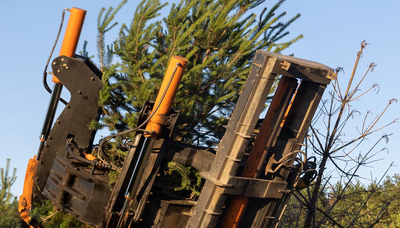 Large-scale tree planting using tree spades - gallery