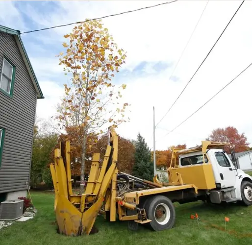 Overcoming root and soil transplant issues